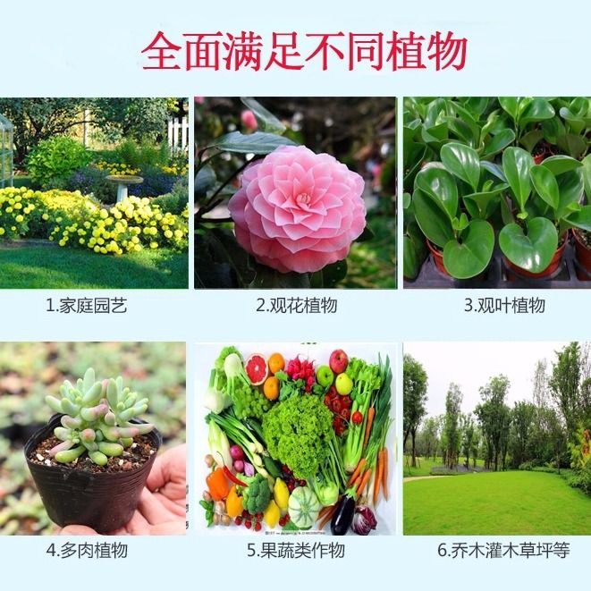 29c011c7-fa65-4cb3-939f-3f6caf49d692.jpg