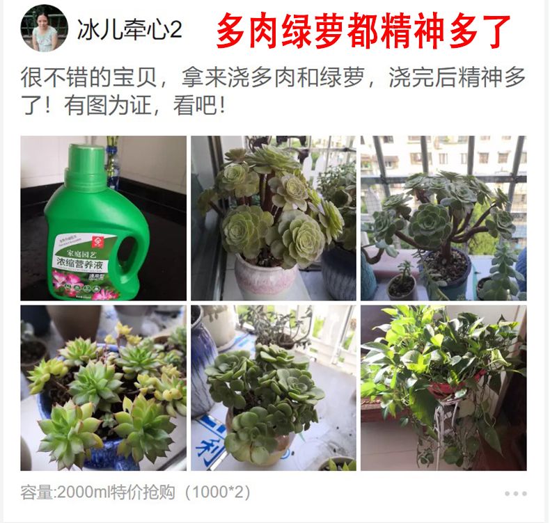 盆栽花肥料推荐 5b02f92e-9dca-485a-b1c6-0f221ef32ebf.jpg