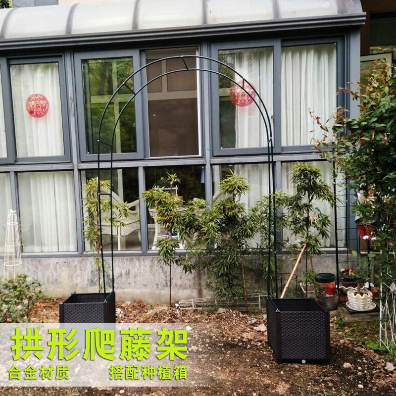 菜园兄弟家庭园艺爬藤支架鲜花铁艺拱门婚庆花架花支柱拱形蔬菜架 虎窝拼