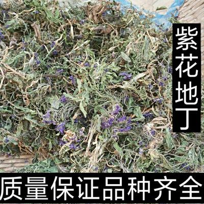 整棵带根带花紫花地丁500-1000包邮干货清热新鲜紫花地丁中药材