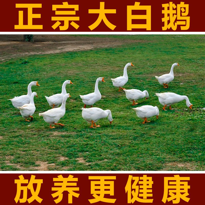 26d1d312-c448-4638-ac8b-22dac8724e6d.jpg