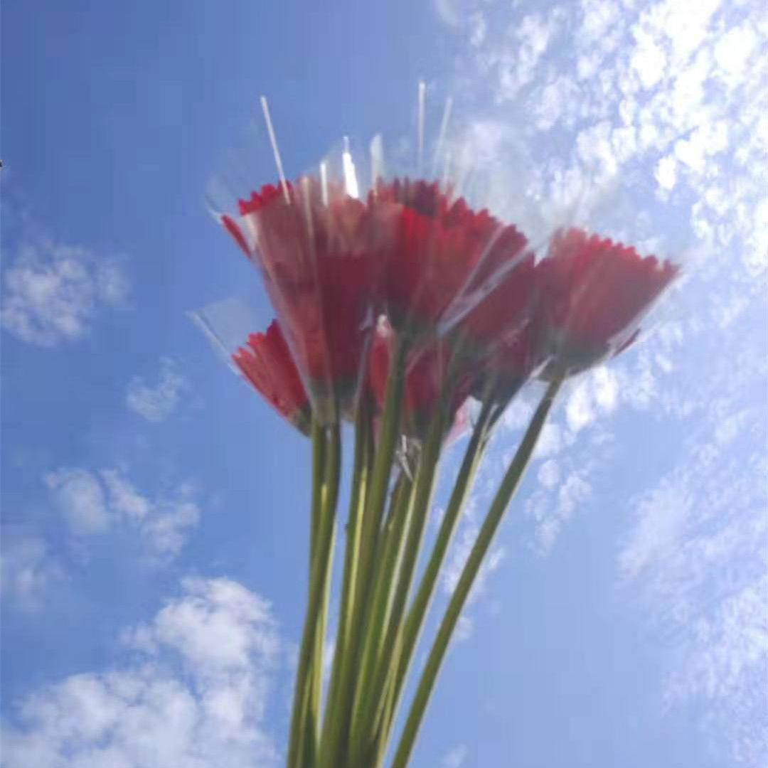 扶郎花怎么包混搭花束_榴莲花束怎么包(2)