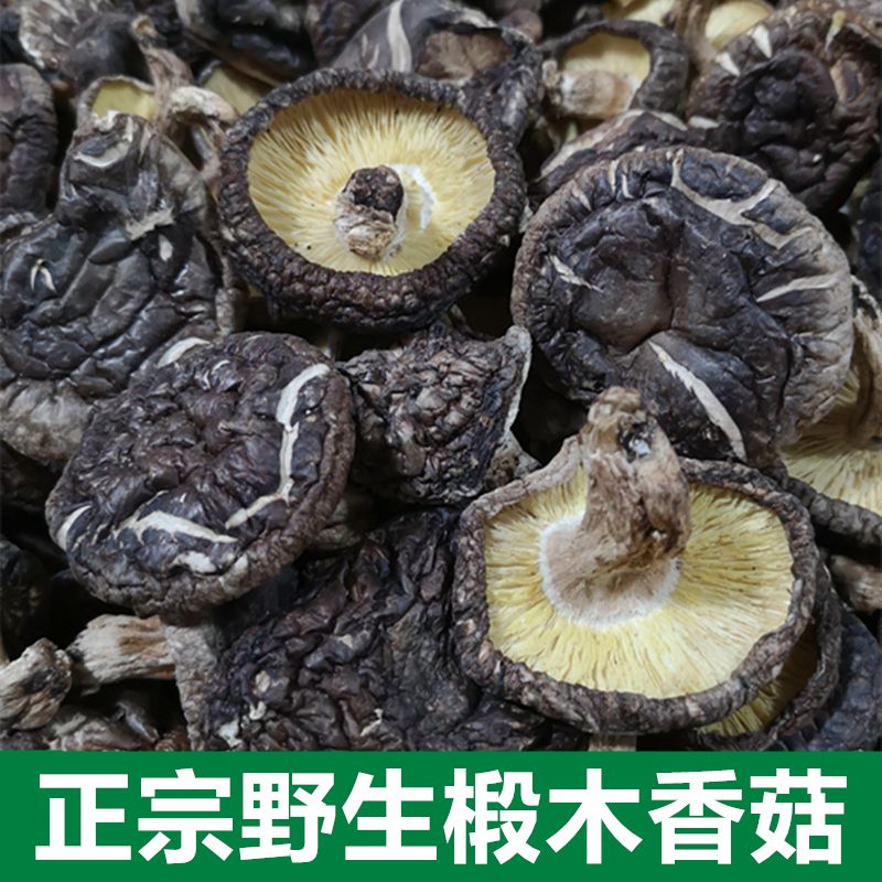 福建特产野生椴木香菇干货农家自产香菇小花菇农家干货小香菇