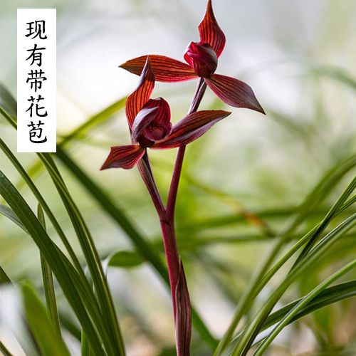 6b3acd7b-d448-4e9b-843a-bcf09abe79ee.jpg