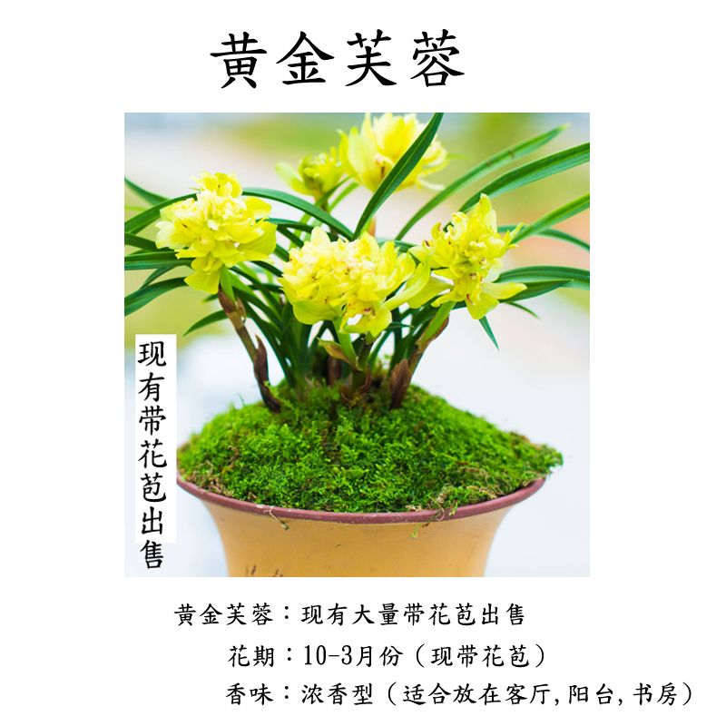 d3a46751-b2a6-4bc9-8cdb-48966c49f5b2.jpg