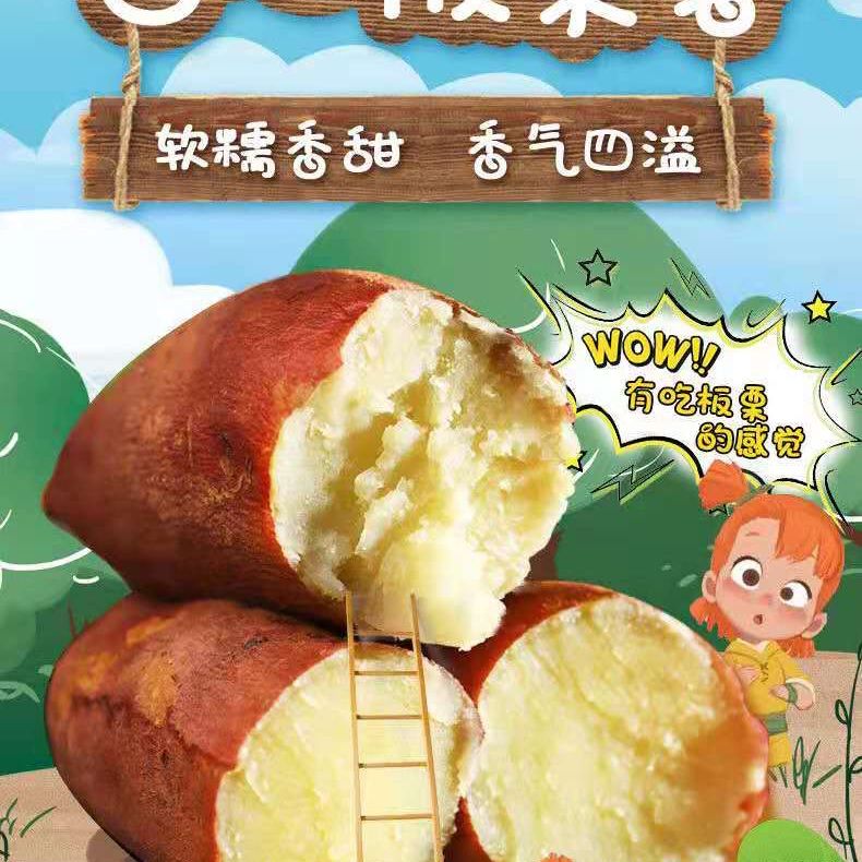 云南正宗板栗薯农家自种3-9斤带箱批发新鲜红皮白心红薯栗子沙地