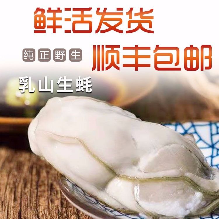 乳山生蚝五斤装鲜活一箱十斤新鲜大牡蛎带壳海蛎子即食海鲜水产品