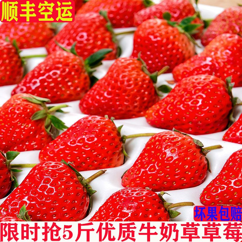 如何挑选优质牛奶草莓 e6d7da30-768f-4782-8045-2fefb48a630d.jpg