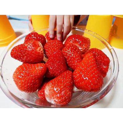 2019 丹东马家岗无添加免洗牛奶草莓 3斤装 顺丰包邮