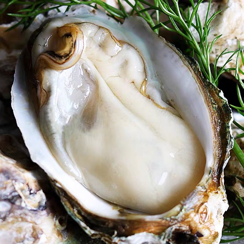 拼多多【不肥包赔】乳山生蚝鲜活一箱5/10斤牡蛎海蛎子生蚝肉海鲜水