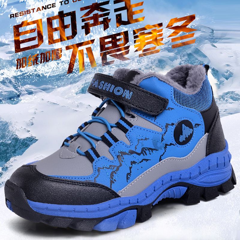c30eea1f-e84e-46b7-aaa2-c04602add04a.jpg