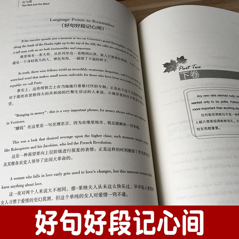 2b585a9c-ad20-4b8c-b78f-0edd043a26ea.jpg