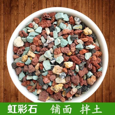 多肉种植土用营养土还是椰糠 493da38a-0987-4c75-8a20-0f1ba3da4d19.jpg