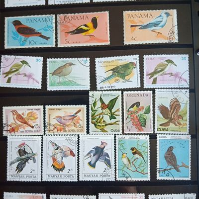 各种鸟类及动物邮票100枚不重复 集邮收藏 包品保真 外国邮票