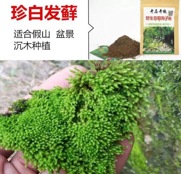 30ca0c61-f90c-4bf9-984a-db08f4ca9b63.jpg