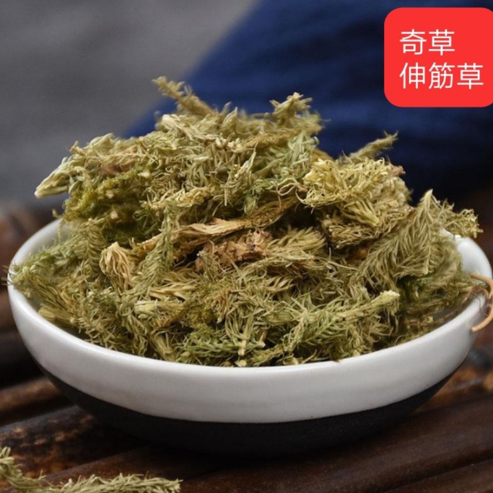 中药材 伸筋草500g 舒筋草 野生 石松 狮子尾 50克 三宝茶中草药
