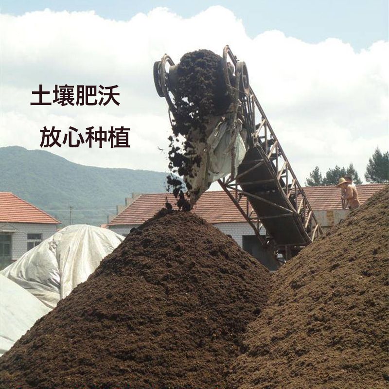 c31794ac-2778-414a-b0a2-929c2ea25b45.jpg