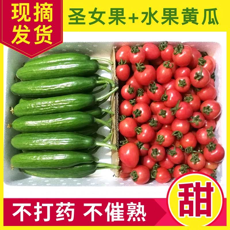 圣女果小黄瓜5斤2斤小番茄新鲜蔬菜樱桃小西红柿水果黄瓜生吃柿子