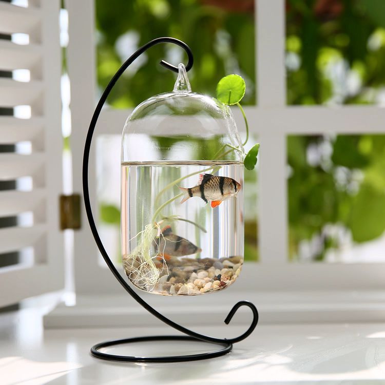 Small mini fish glass tank goldfish peacock transparent office creative hanging desktop decoration bracket fish tank