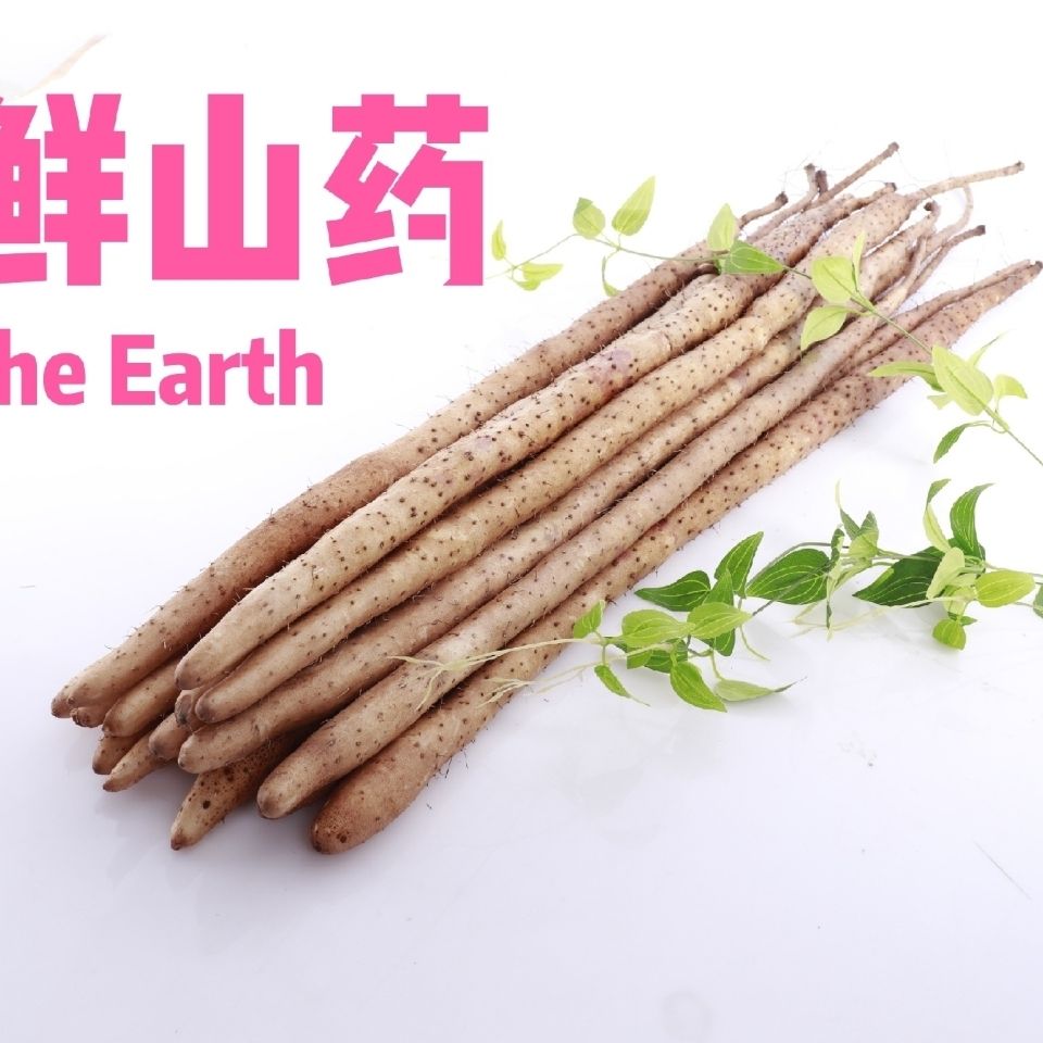 新鲜铁棍小白嘴麻山药粉糯香甜蠡县农家蔬菜特产麻山药超值3/5斤