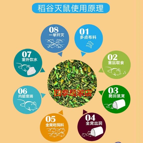 怎么高效灭鼠 29125823-475f-4484-93d4-2dd730cfee3a.jpg
