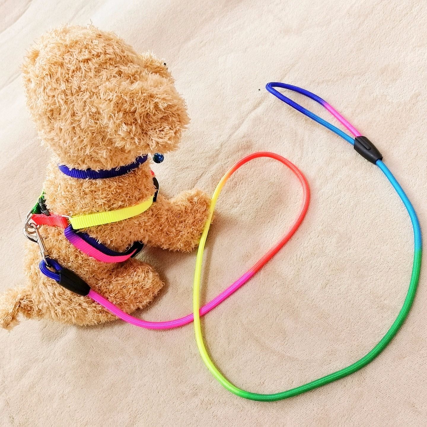 如何用绳子做猫咪的牵引绳 af752da7-7b7d-4b31-be26-c73152baea51.jpg