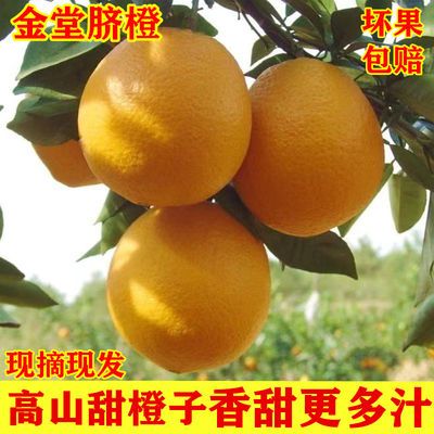 【精品】四川金堂脐橙新鲜采摘水果5-10斤非赣州冰糖橙果冻橙爱媛