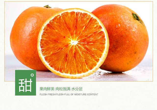 72cb3559-a529-4058-b808-a108a4efd779.jpg