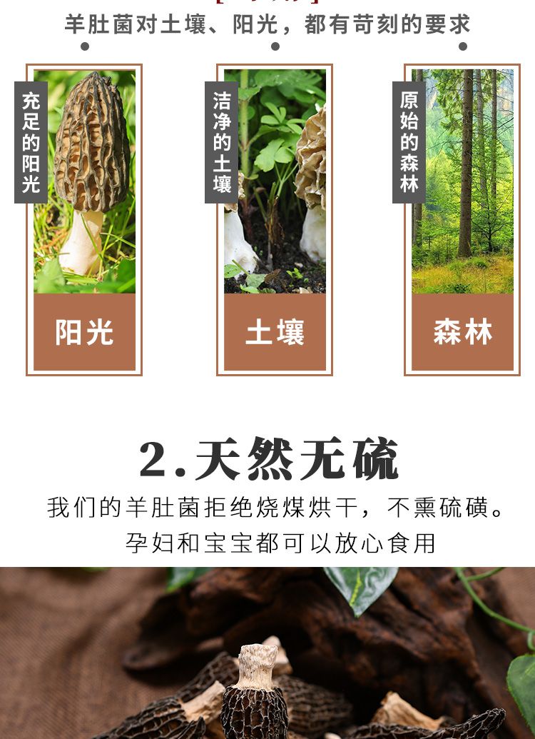 ce4c93a3-1d97-4496-96f7-1871d9e56a68.jpg