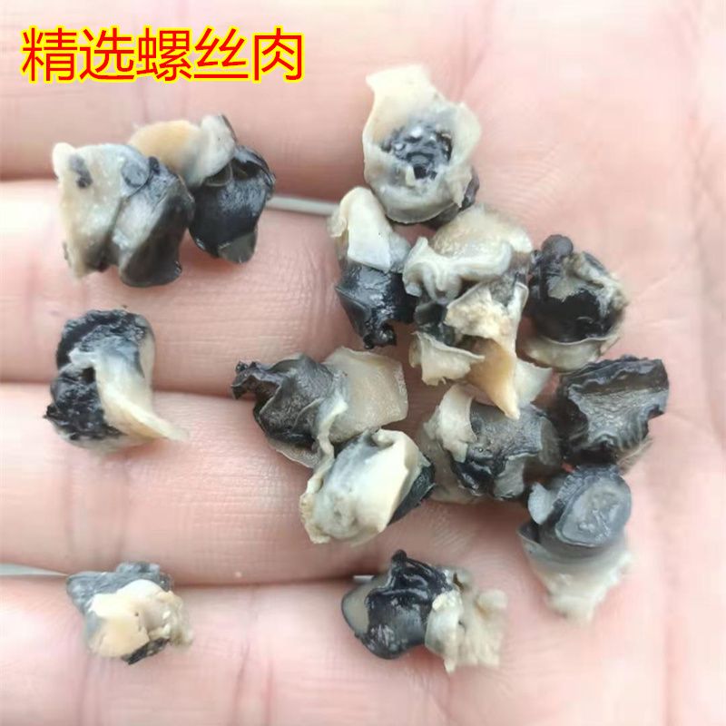 新鲜大螺丝肉田螺肉农家手工现挑小石螺肉嗦螺蛳肉鲜活真空海螺肉