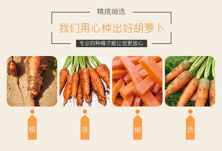 2f8a8d15-eb0a-49f9-8af2-49748ec0e025.jpg