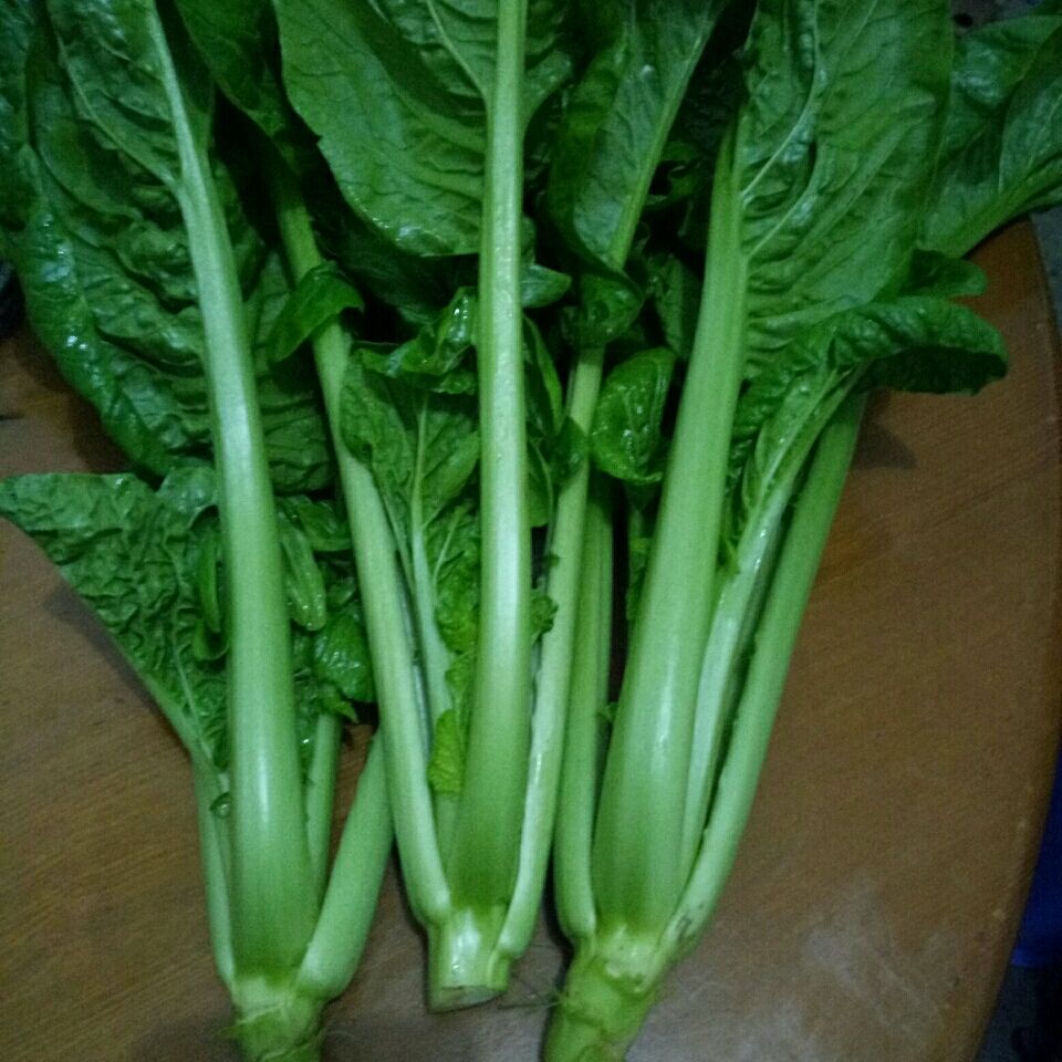 正宗四川青菜梱杆杆青菜【3月10日发完】