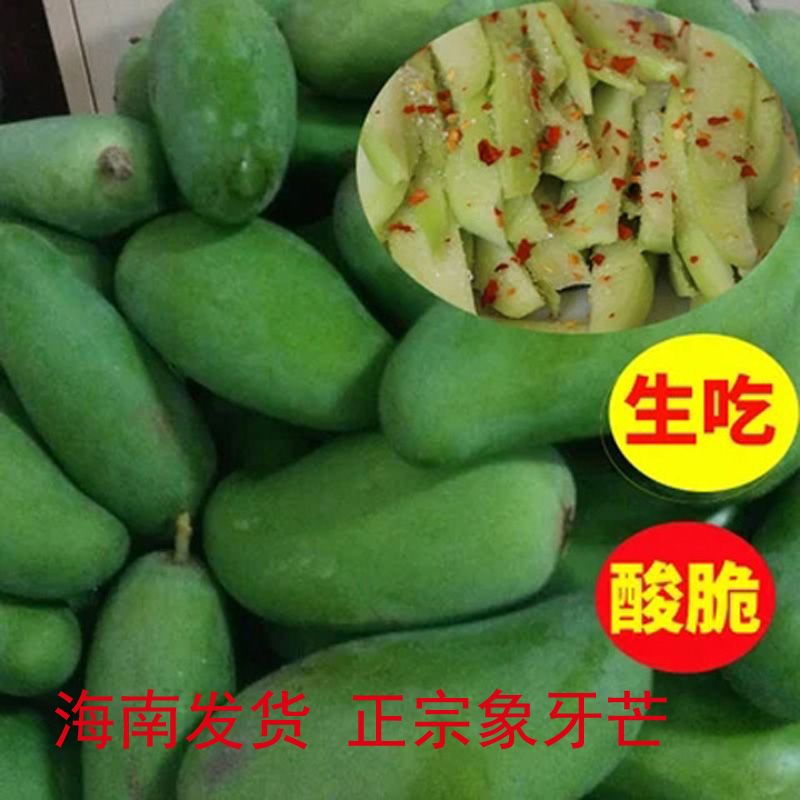 海南三亚新鲜当季生吃芒果生脆酸芒果象牙芒果青芒果1/3/5生芒果
