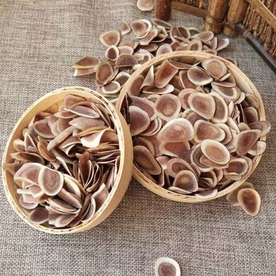 片正品