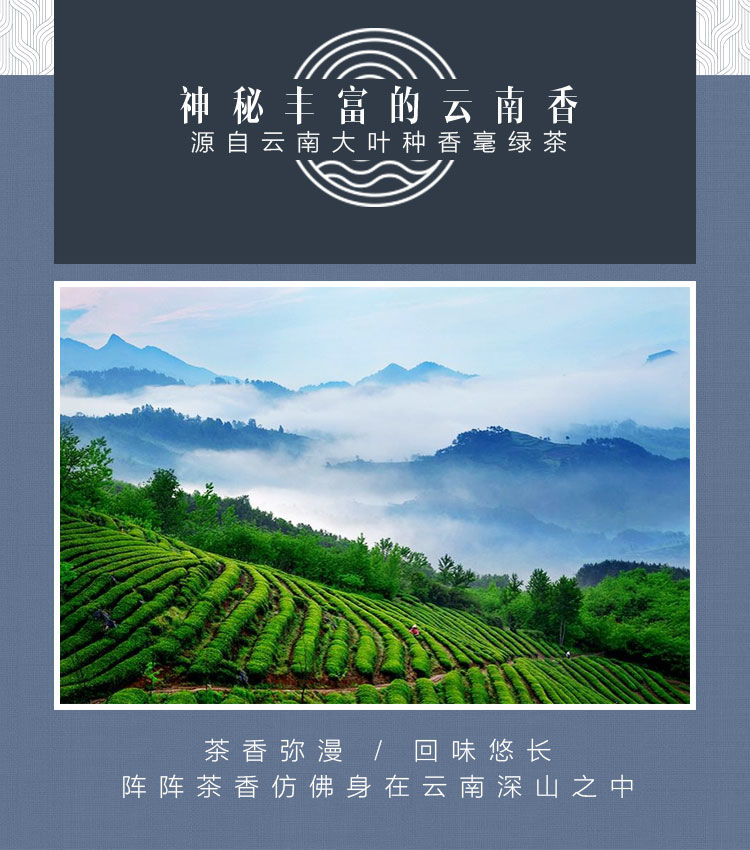 2020年新茶碧螺春500g纯木桶新茶碧螺春绿茶礼盒装茶叶雨前碧螺春