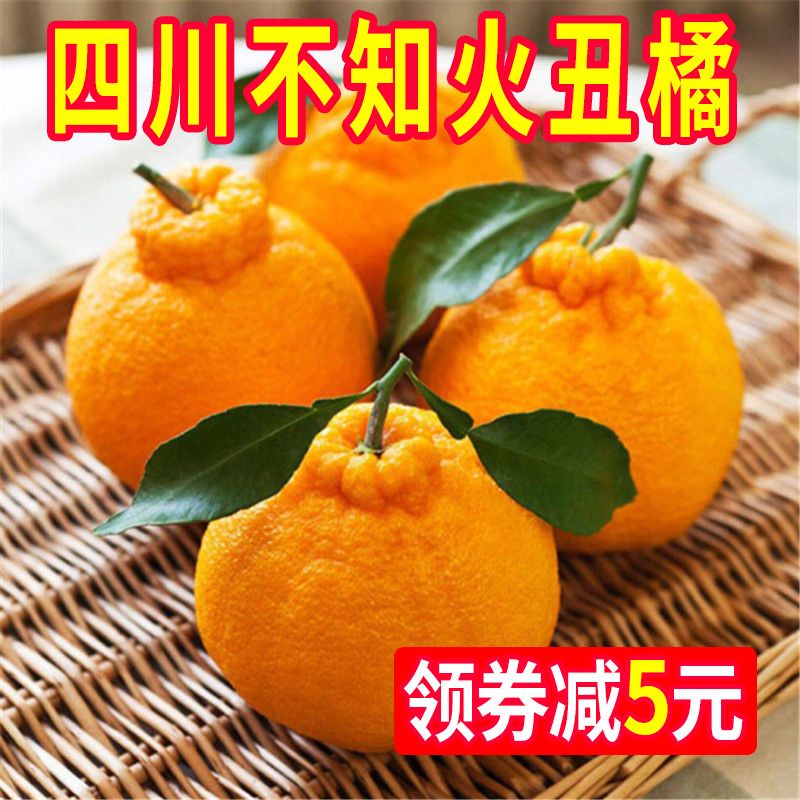 7f4d916e-0eae-48fc-ab3c-a95d014bb3fc.jpg