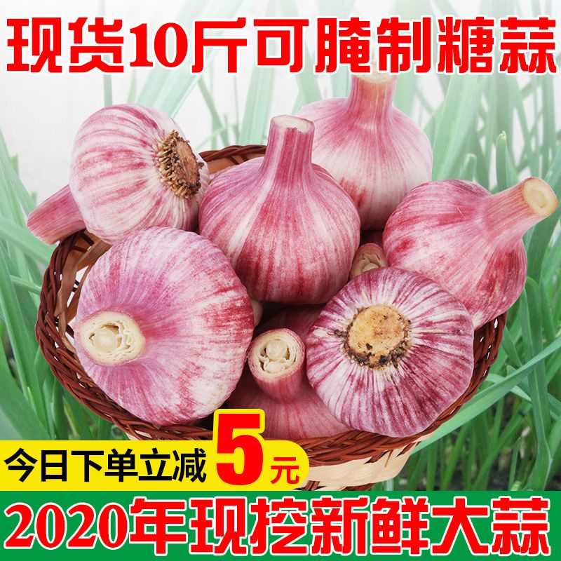 40fdea17-b159-4e70-8f3b-4b9292b3ec72.jpg