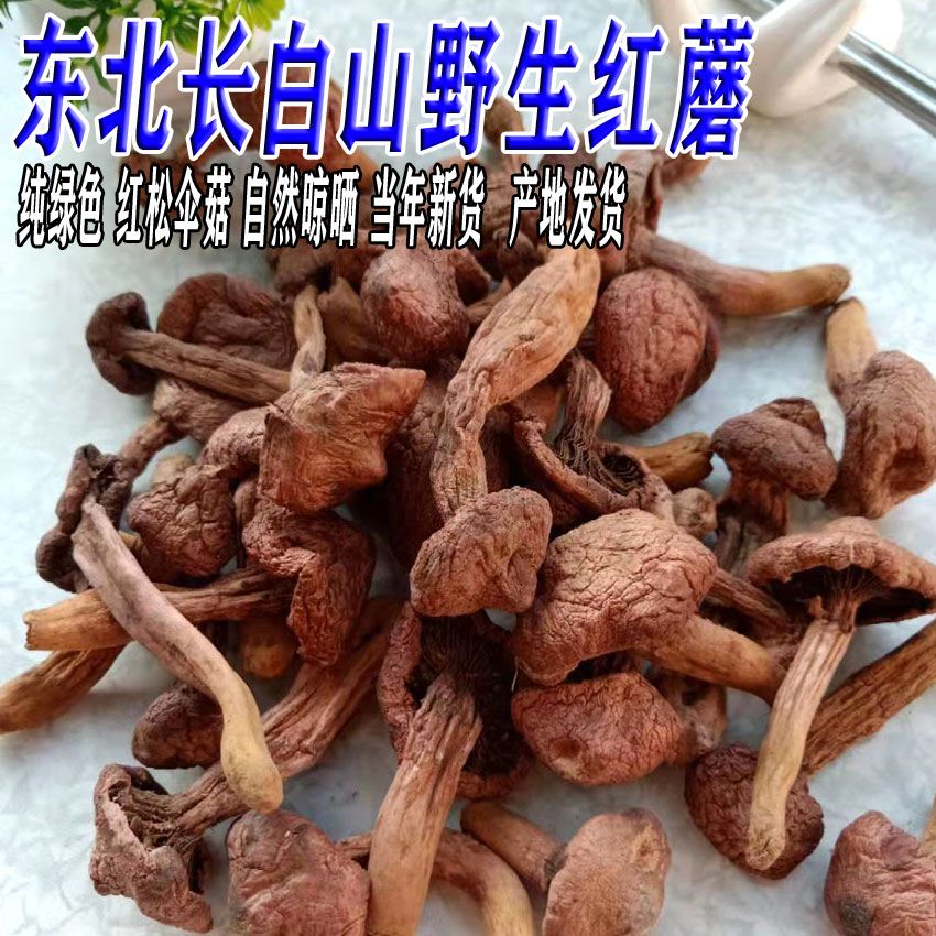东北红蘑 长白山纯野生红松伞蘑菇 肉蘑 新货菌菇 干货野生松树蘑