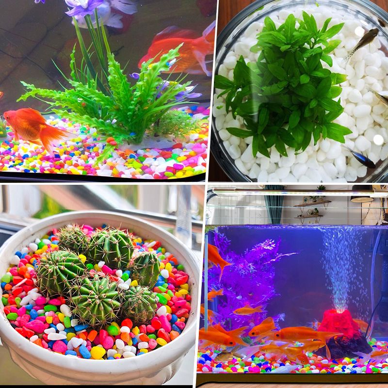 石头鱼缸造景 b1552932-1fdd-4322-815b-3d10a8f54f91.jpg