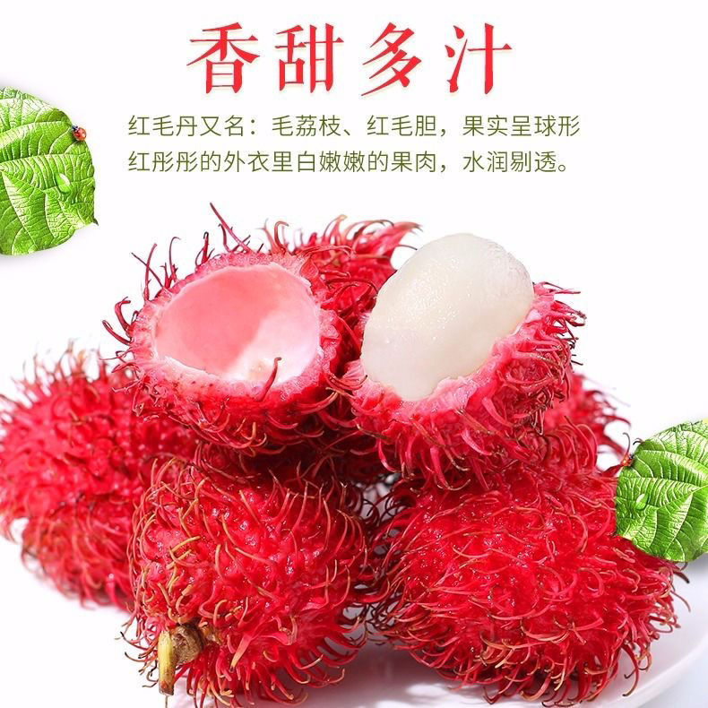【新鲜红毛丹1斤特级】东南亚进口热带水果毛荔枝现摘非海南荔枝
