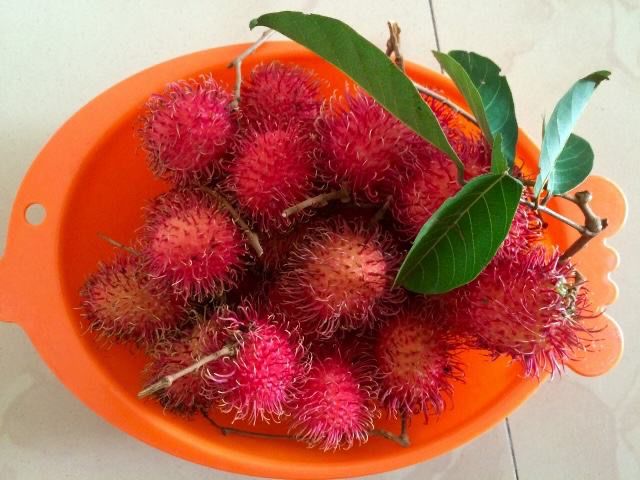 【新鲜红毛丹1斤特级】东南亚进口热带水果毛荔枝现摘非海南荔枝