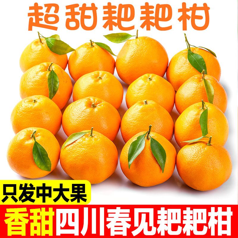b7ad1b0f-37aa-405a-a303-be82d28f3b59.jpg