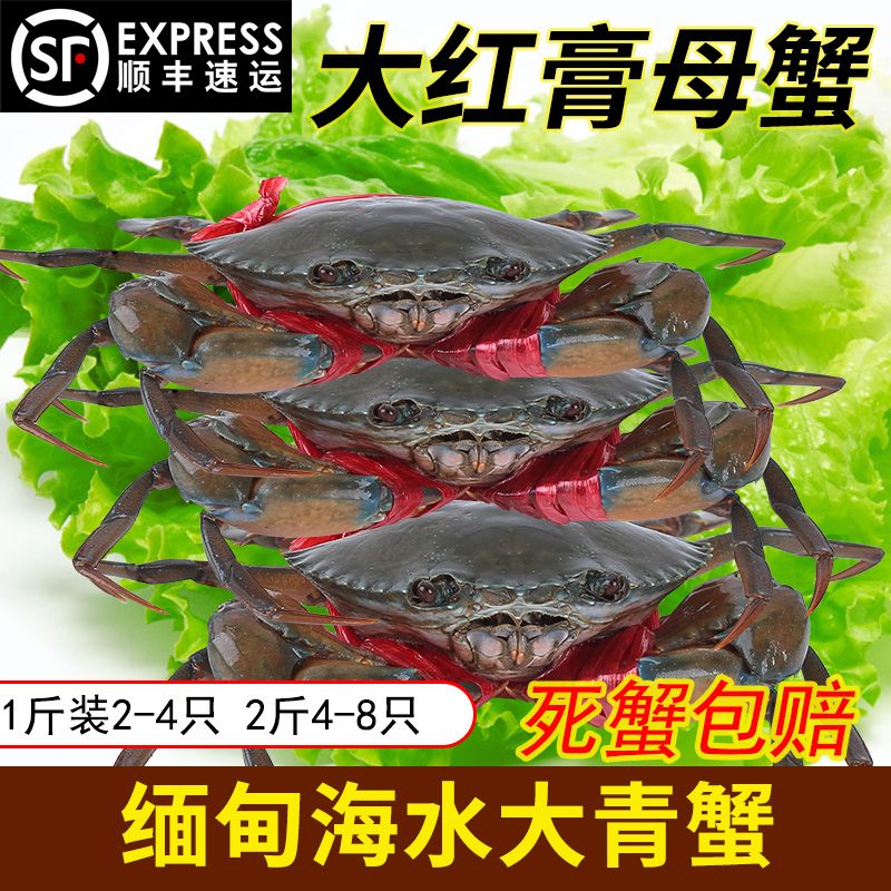 c964216d-a60d-4d01-ac3c-badc679c0f0f.jpg