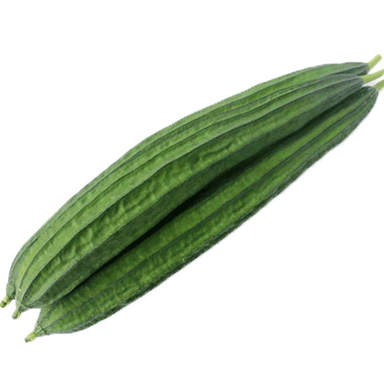 棱丝瓜种子蔬菜广东水瓜种籽儿四季春夏秋冬季春季播爬藤庭院盆栽【2