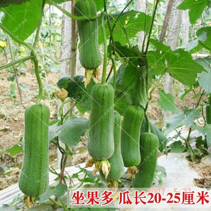 624fb8f4-ea70-4762-b367-e4c8216f74ab.jpg