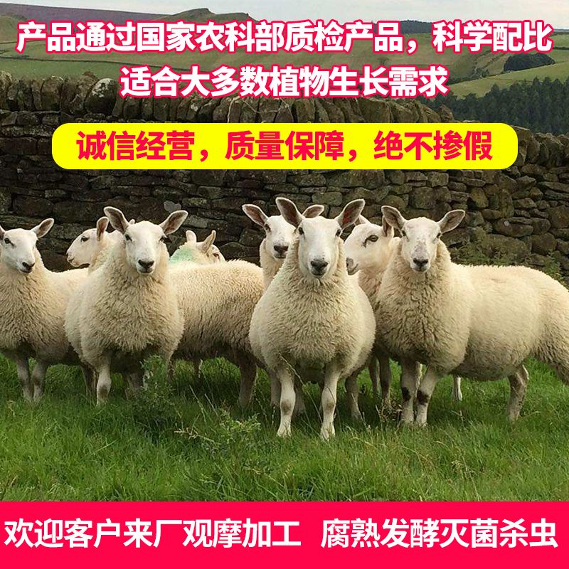 734bb781-31b8-4065-a79f-0164139e2dd9.jpg