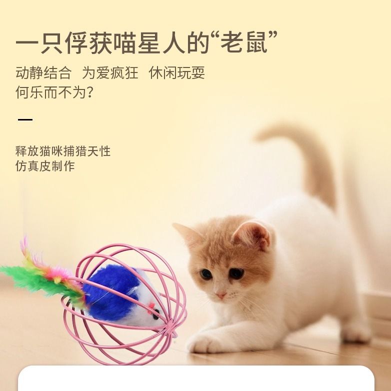 d5aba2fb-f64e-43cc-b208-62a0435c4912.jpg