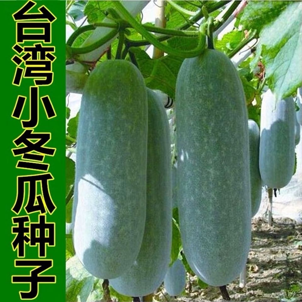 fedbe6dd-3206-4b5d-96ae-8a947d4cfffa.jpg