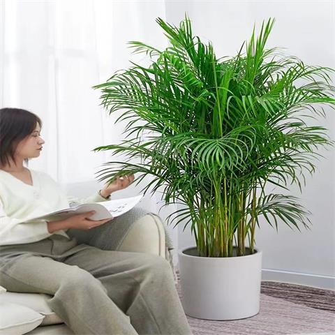9a82f40e-ad8c-42a5-9fd7-70fa815eb338.jpg