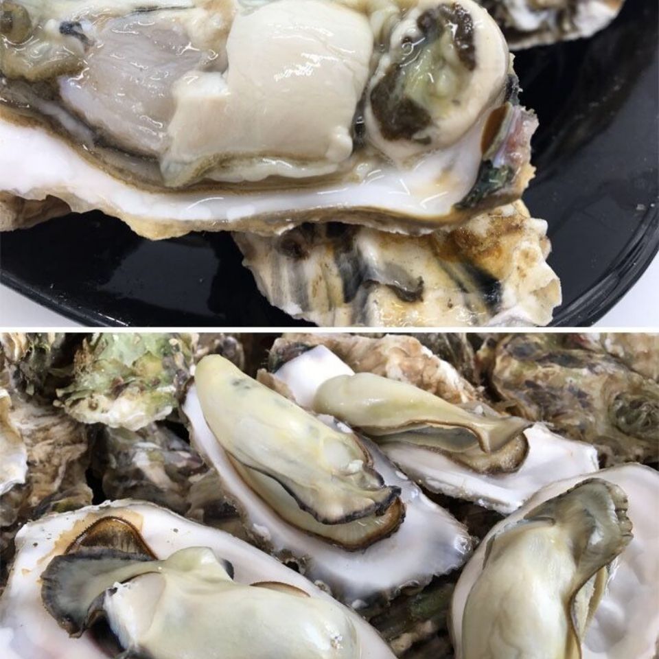 乳山牡蛎小号十斤装(鲜活)